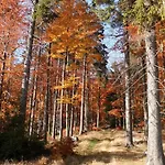 Apartamento Am Apelsberg