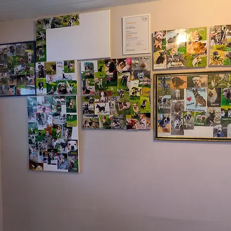 Appartement Am Apelsberg *