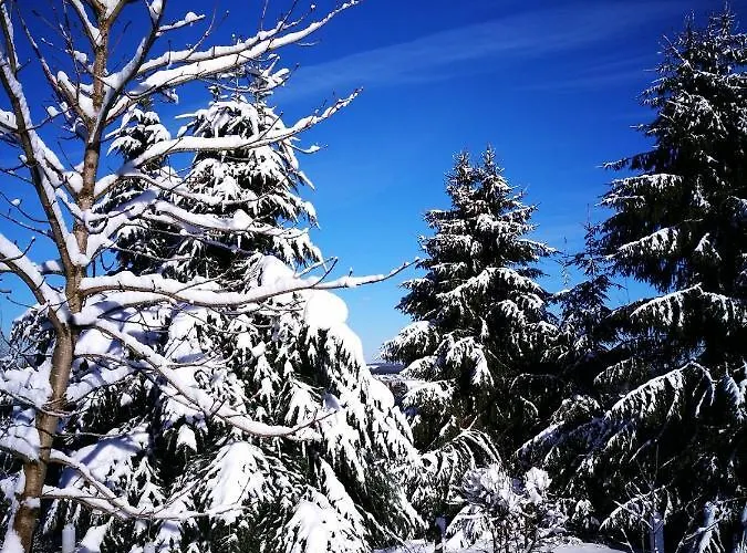 Am Apelsberg Appartement