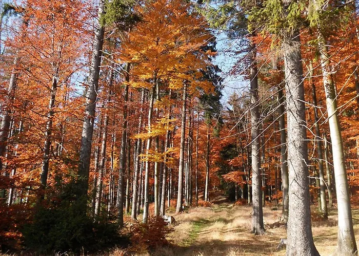 Appartement Am Apelsberg